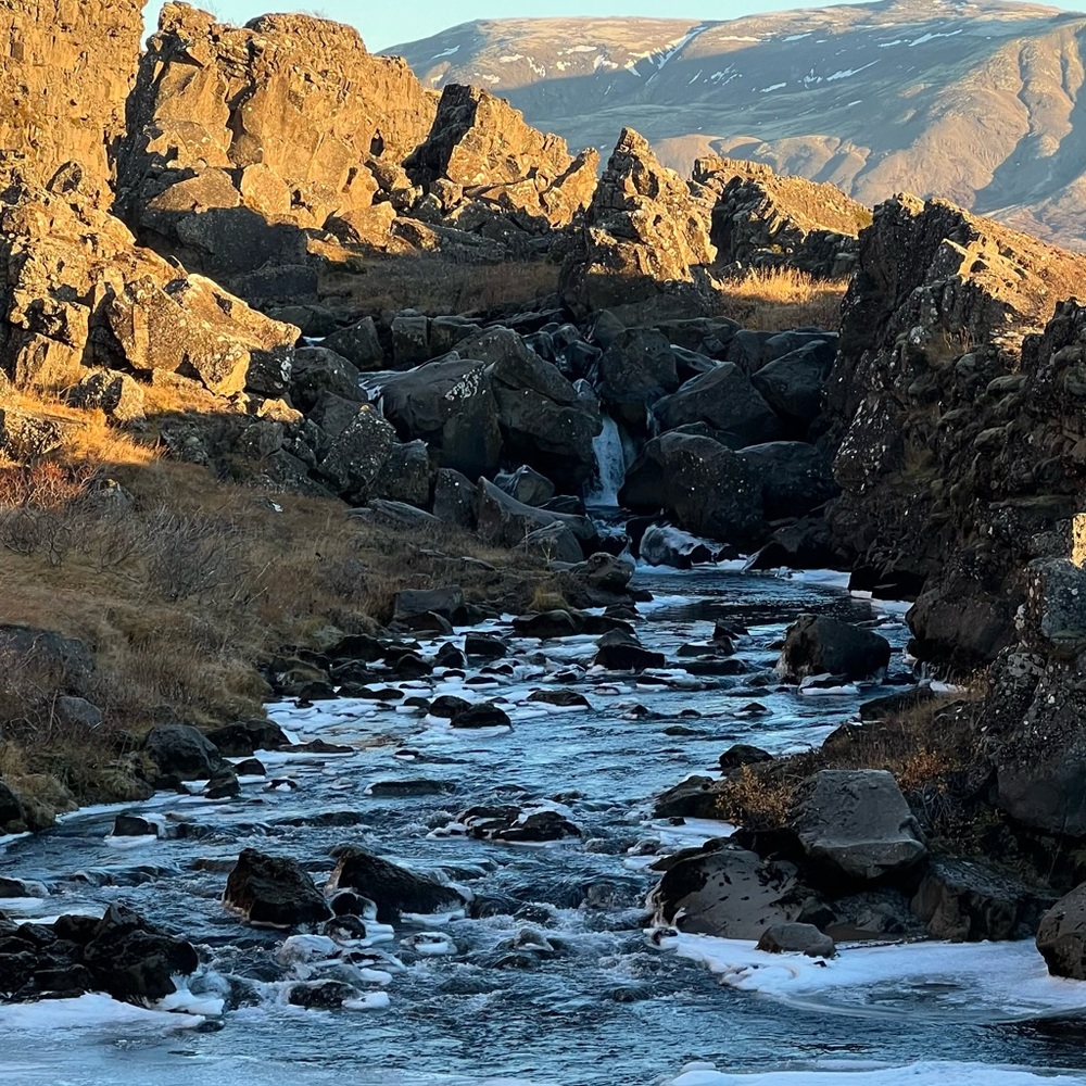 Meet your Posher, Jesica